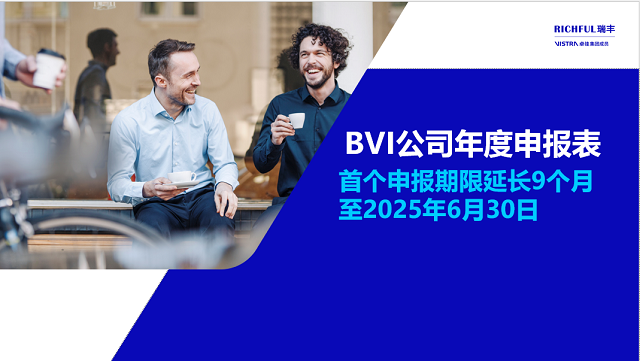 BVI公司年度财务报表合规要求